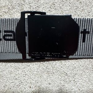 Carhartt Gray Webbing Belt with Black Logo and Buckle
